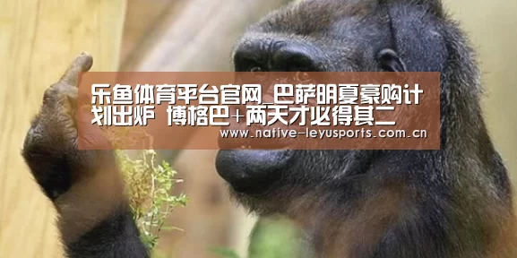 乐鱼体育平台官网_巴萨明夏豪购计划出炉 博格巴+两天才必得其二(图4) 乐鱼平台官网