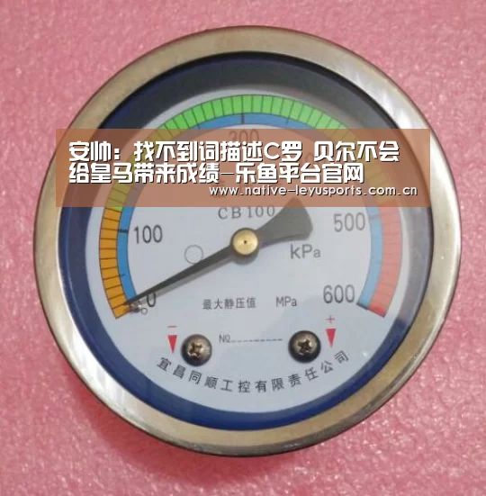 安帅:找不到词描述C罗 贝尔不会给皇马带来成绩-乐鱼平台官网(图3) 乐鱼官网