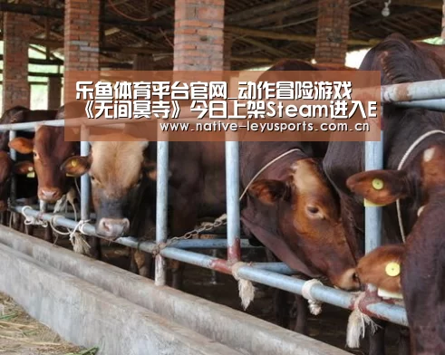 乐鱼体育平台官网_动作冒险游戏《无间冥寺》今日上架Steam进入EA阶段(图2) 乐鱼体育平台官网