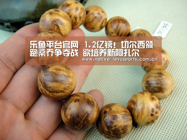 乐鱼平台官网