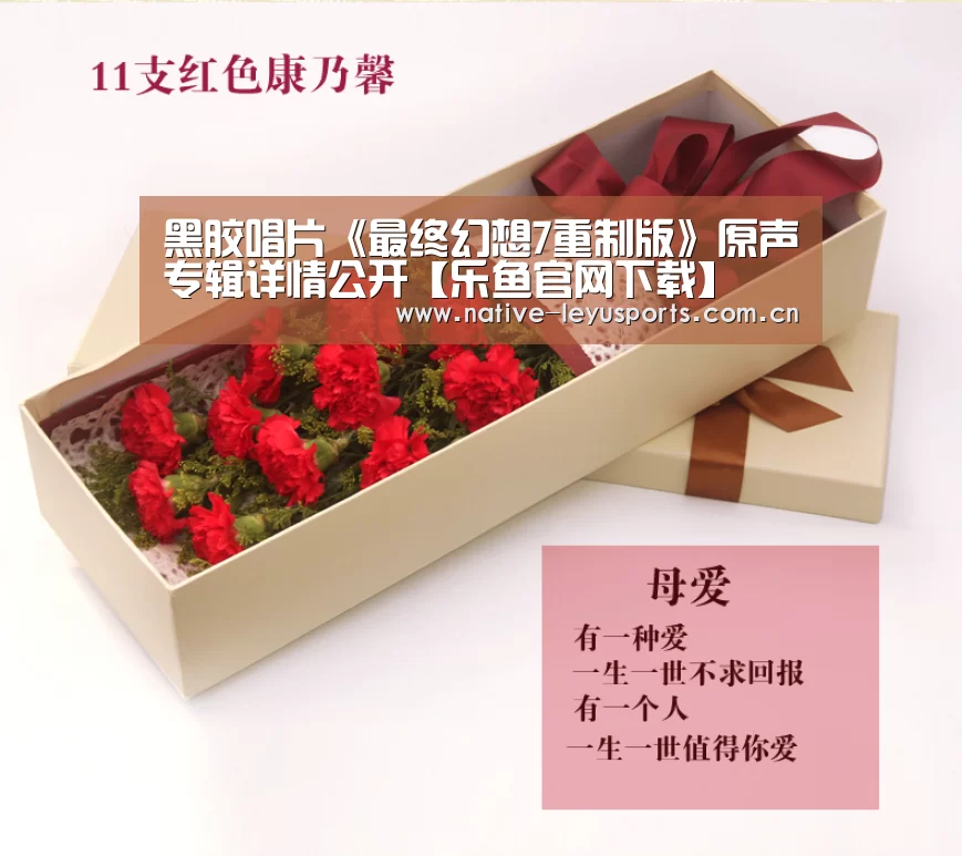 乐鱼体育平台官网
