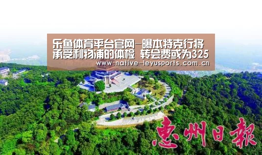 乐鱼官网