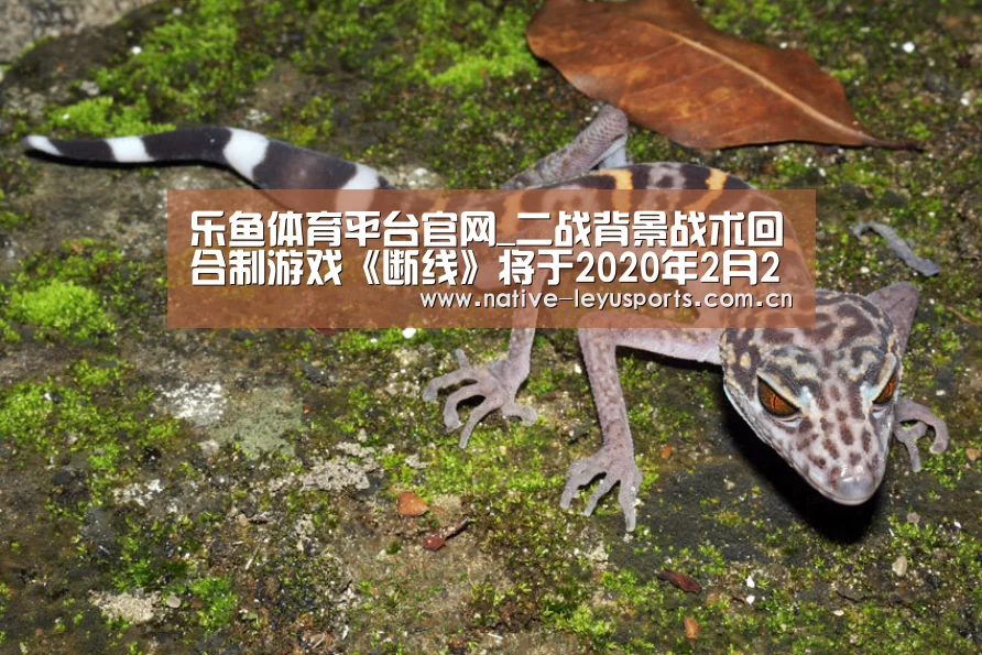 乐鱼体育平台官网_二战背景战术回合制游戏《断线》将于2020年2月25日登陆PC,4月推出中文版本!(图1) 乐鱼平台官网
